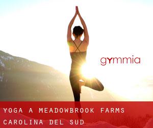 Yoga a Meadowbrook Farms (Carolina del Sud)