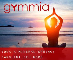 Yoga a Mineral Springs (Carolina del Nord)