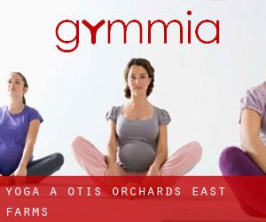 Yoga a Otis Orchards-East Farms
