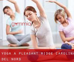 Yoga a Pleasant Ridge (Carolina del Nord)
