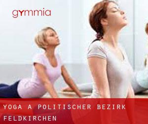 Yoga a Politischer Bezirk Feldkirchen