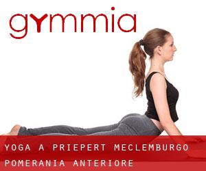 Yoga a Priepert (Meclemburgo-Pomerania Anteriore)
