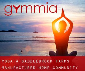 Yoga a Saddlebrook Farms Manufactured Home Community