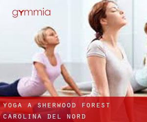 Yoga a Sherwood Forest (Carolina del Nord)