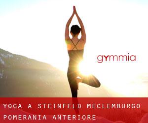 Yoga a Steinfeld (Meclemburgo-Pomerania Anteriore)