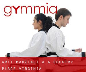 Arti marziali a A Country Place (Virginia)