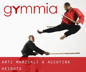 Arti marziali a Accotink Heights