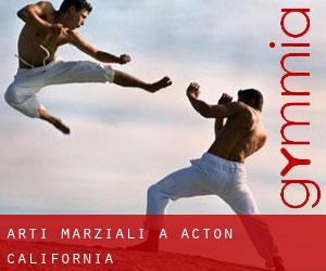 Arti marziali a Acton (California)