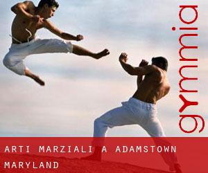Arti marziali a Adamstown (Maryland)