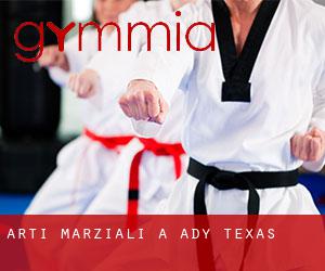 Arti marziali a Ady (Texas)