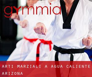 Arti marziali a Agua Caliente (Arizona)