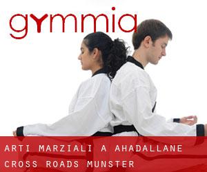 Arti marziali a Ahadallane Cross Roads (Munster)