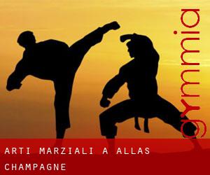 Arti marziali a Allas-Champagne