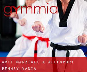 Arti marziali a Allenport (Pennsylvania)