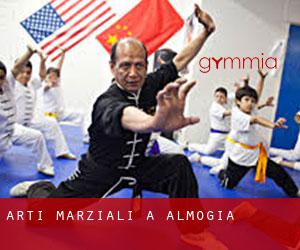 Arti marziali a Almogía