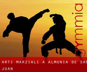 Arti marziali a Almunia de San Juan