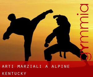 Arti marziali a Alpine (Kentucky)