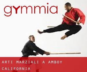 Arti marziali a Amboy (California)