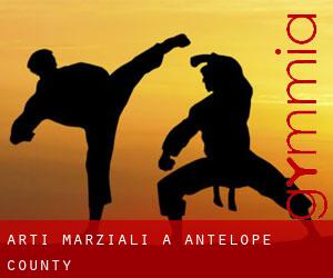 Arti marziali a Antelope County