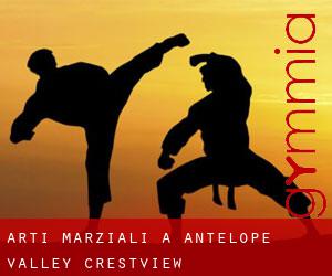 Arti marziali a Antelope Valley-Crestview