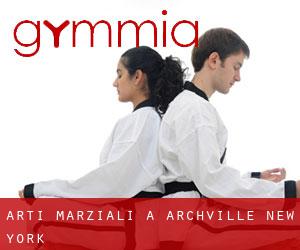 Arti marziali a Archville (New York)