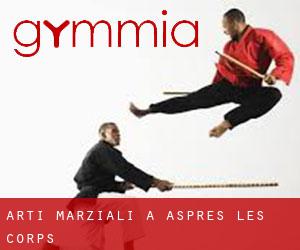 Arti marziali a Aspres-lès-Corps