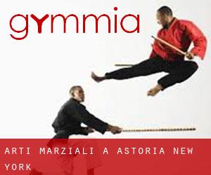 Arti marziali a Astoria (New York)
