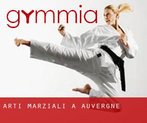 Arti marziali a Auvergne Arti marziali a Auvergne