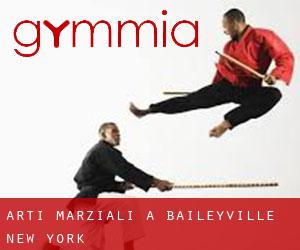 Arti marziali a Baileyville (New York)