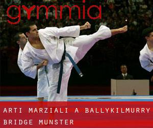 Arti marziali a Ballykilmurry Bridge (Munster)