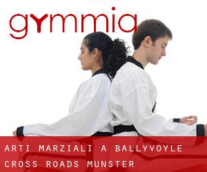 Arti marziali a Ballyvoyle Cross Roads (Munster)