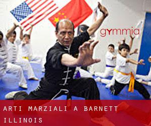 Arti marziali a Barnett (Illinois)