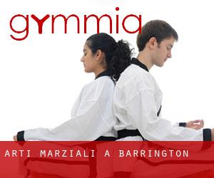 Arti marziali a Barrington