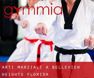 Arti marziali a Belleview Heights (Florida)