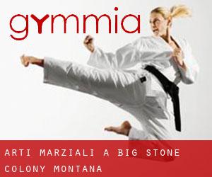 Arti marziali a Big Stone Colony (Montana)