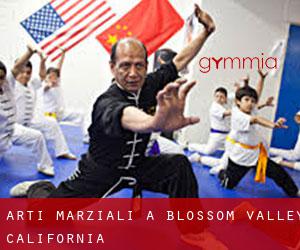 Arti marziali a Blossom Valley (California)
