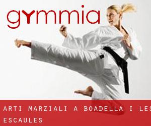 Arti marziali a Boadella i les Escaules