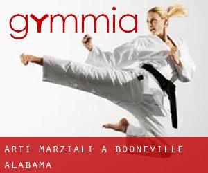 Arti marziali a Booneville (Alabama)