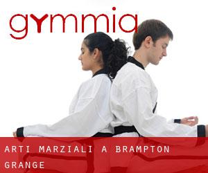 Arti marziali a Brampton Grange
