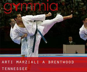 Arti marziali a Brentwood (Tennessee)