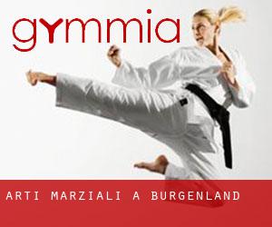 Arti marziali a Burgenland Arti marziali a Burgenland