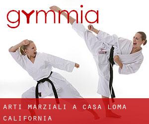 Arti marziali a Casa Loma (California)