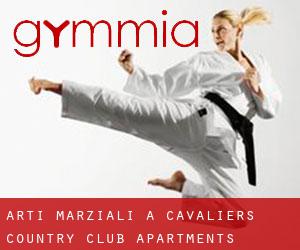 Arti marziali a Cavaliers Country Club Apartments