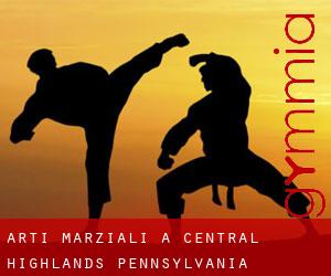 Arti marziali a Central Highlands (Pennsylvania)