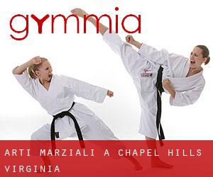 Arti marziali a Chapel Hills (Virginia)
