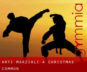 Arti marziali a Christmas Common