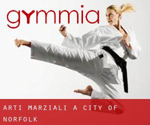 Arti marziali a City of Norfolk