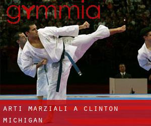 Arti marziali a Clinton (Michigan)
