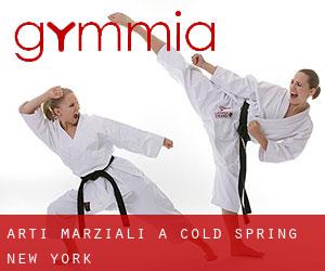 Arti marziali a Cold Spring (New York)
