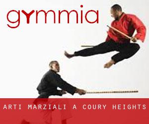 Arti marziali a Coury Heights